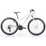 Romet Jolene 6.1 2024 17" M Green/ Violet