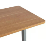 Evelekt ERGO 120x60cm oak