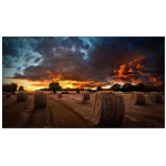 Samsung Videowall LH55VMBUBGBXEN 55" IPS 16:9