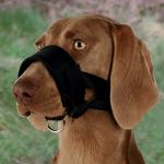 TRIXIE Trixie Nylon adjustable muzzle 2 - XL