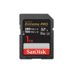 Sandisk SDSDXEP-1T00-GN4IN