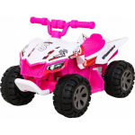 Ramiz Vehicle Quad THE FASTEST Pink