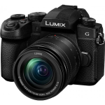 Panasonic Lumix DMC-G90 + 12-60 mm