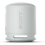 Sony SRS-XB100 Grey