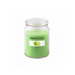 PROVENCE Candle Lime 14x10x10cm