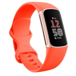 Fitbit Charge 6 Coral/ Champagne Gold
