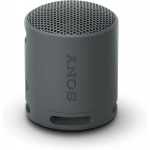 Sony SRS-XB100 Black