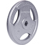 Insportline Cast Iron Plate Hamerton 25 kg