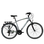 BISAN City bike TRX8100 grey/ green M