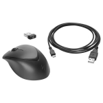 HP Wireless Premium (1JR31AA)