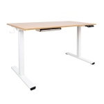 Evelekt Desk ERGO with 1 motor 120x60xH73-121cm, white/ oak