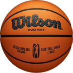Wilson Wilson Wilson EVO NXT Africa League Official Game Ball WTB0900XBBA Po.