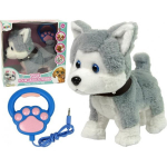 LEAN Toys Plush Dog Interactive Educational Leash Songs Walks