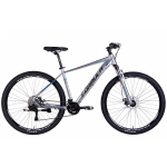 FORMULA 29" ZEPHYR 3.0 DD CS 19" Silver/ Gray 2025