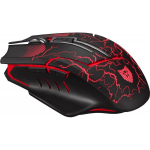 Liocat MX 557 C Black