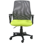 Evelekt Treviso Green/ Grey