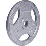 Insportline Cast Iron Plate Hamerton 15 kg