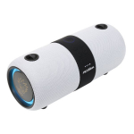 Pexman PM-10W