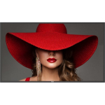 Philips D-Line 86BDL4650D/ 00 86" ADS 16:9