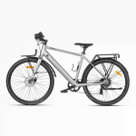 DYU Stroll 1 28" Silver