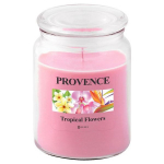 PROVENCE Candle Tropical Flowers 14x10x10cm