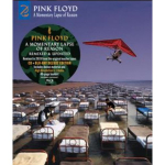 PARLOPHONE PINK FLOYD "A Momentary Lapse Of Reason" (2019 Remix)