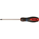Dedra Dedra Phillips screwdriver PH2x38mm steel S2 (17W014)