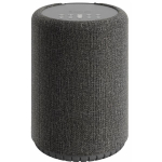 Audio Pro A10 MkII Dark Gray