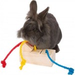 TRIXIE Trixie Game treat toy for rabbit rodents parrots universal