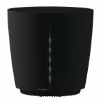 Stylies HAU511 Pegasus Black