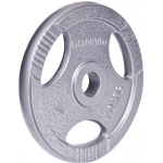 Insportline Cast Iron Plate Hamerton 10 kg