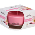 Bolsius Candle Magnolia &Oslash;9x6.3cm