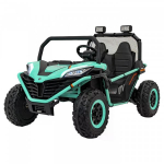Ramiz Buggy FASTER Green