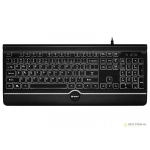 Tracer Ofis PRO USB White lightening