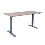 Evelekt Desk ERGO with 1 motor 160x80cm, hickory