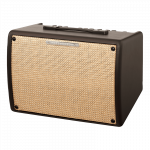 Ibanez T30II Acoustic Combo Akustilise kitarri v&otilde;imendi