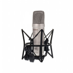 Rode NT1 5th Gen Silver Mikrofon