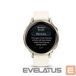 Nutikell Garmin  Evelatus Venu 4 - 41 mm Lunar Gold with Bone Silicone Band