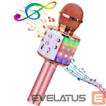 Mikrofon HQ Royal Song WS-858 Karaoke Kids & Adult Fun Effect Microphone with Speakers & Recodr Micro SD USB
