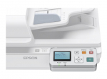 Kaabel EPSON  Network Interface Panel