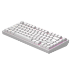 Arvuti klaviatuur dark project  Terra Nostra G3MS Moonstone Switch, RU White