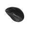 Arvutihiir Canyon CANYON mouse OnClick 17 Ergonomic 6 buttons 1600DPI Wireless Black CNE-CMSW17B (5291485020293)