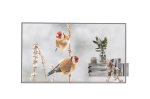 Monitorid LG  55" Transpared OLED 55EW5P with One:Quick dongle included