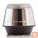 Juhtmevabad k&otilde;larid Evelatus - Bluetooth Speaker ESP01 Silver