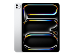 Tahvelarvuti Apple  13-inch iPad Pro M5 Wi-Fi 256GB with standard glass - Silver |