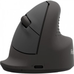 Arvutihiir Fellowes MOUSE USB OPTICAL WRL VERTICAL/ERGO M RT 100143579