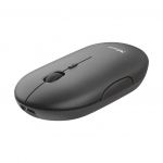 Arvutihiir Trust MOUSE USB OPTICAL WRL/PUCK RECHARGEABLE 24059
