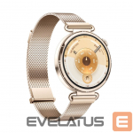 Nutikell Huawei  Watch GT6 41mm Gold Stainless Steel Case with Gold Milanese Strap Gold