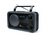 Interaktiivne lahendus Muse 2-bands portable radio M-06DS Grey, AUX in