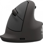 Arvutihiir Fellowes MOUSE USB OPTICAL WRL VERTICAL/ERGO+ L RT 100143582